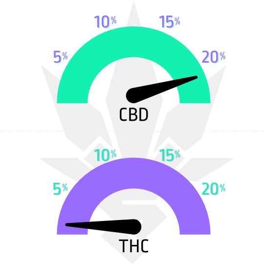 semena Solomatic CBD od RQS